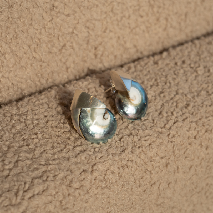 BLUE NAUTILUS SHELLS